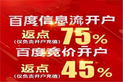 行业标杆的SEM竞价营销案例研究